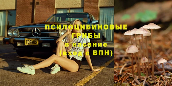 таблы Алексин